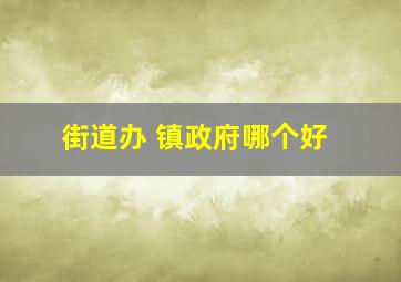 街道办 镇政府哪个好